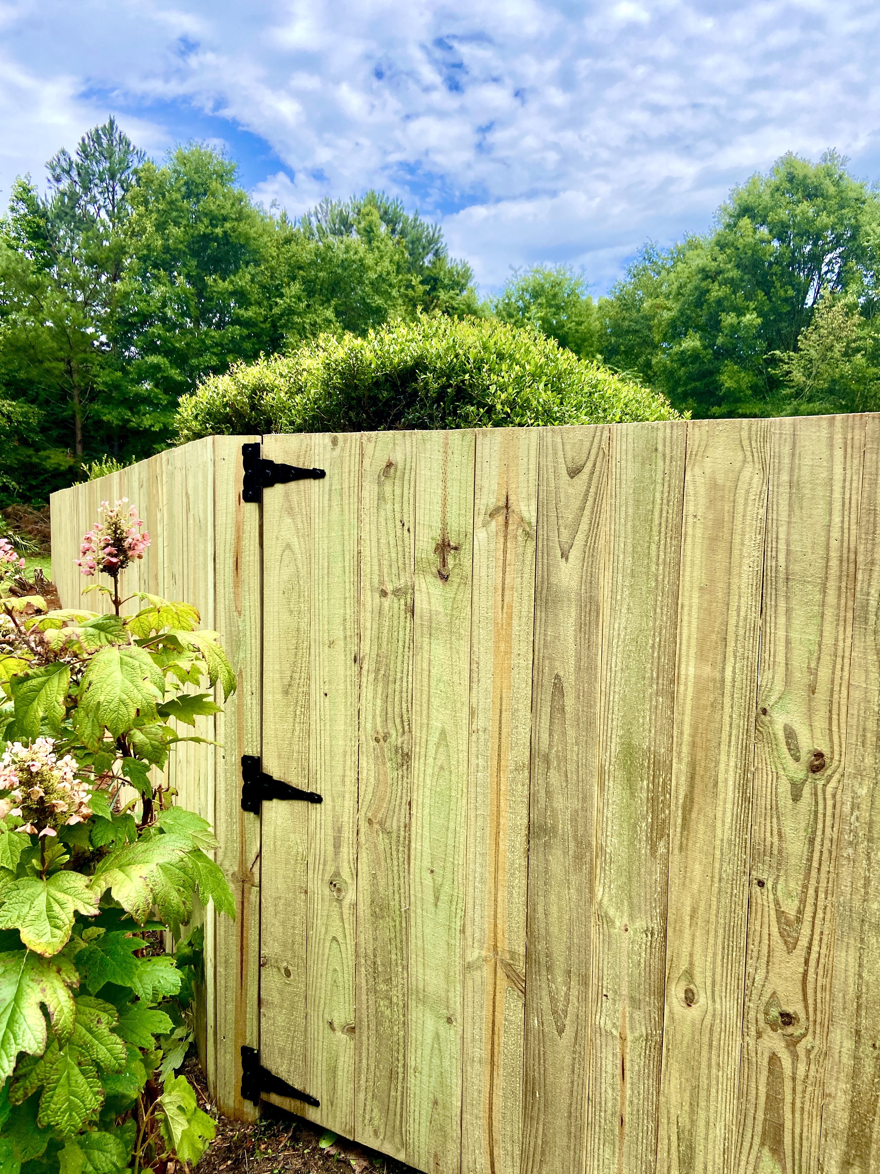 pool fence