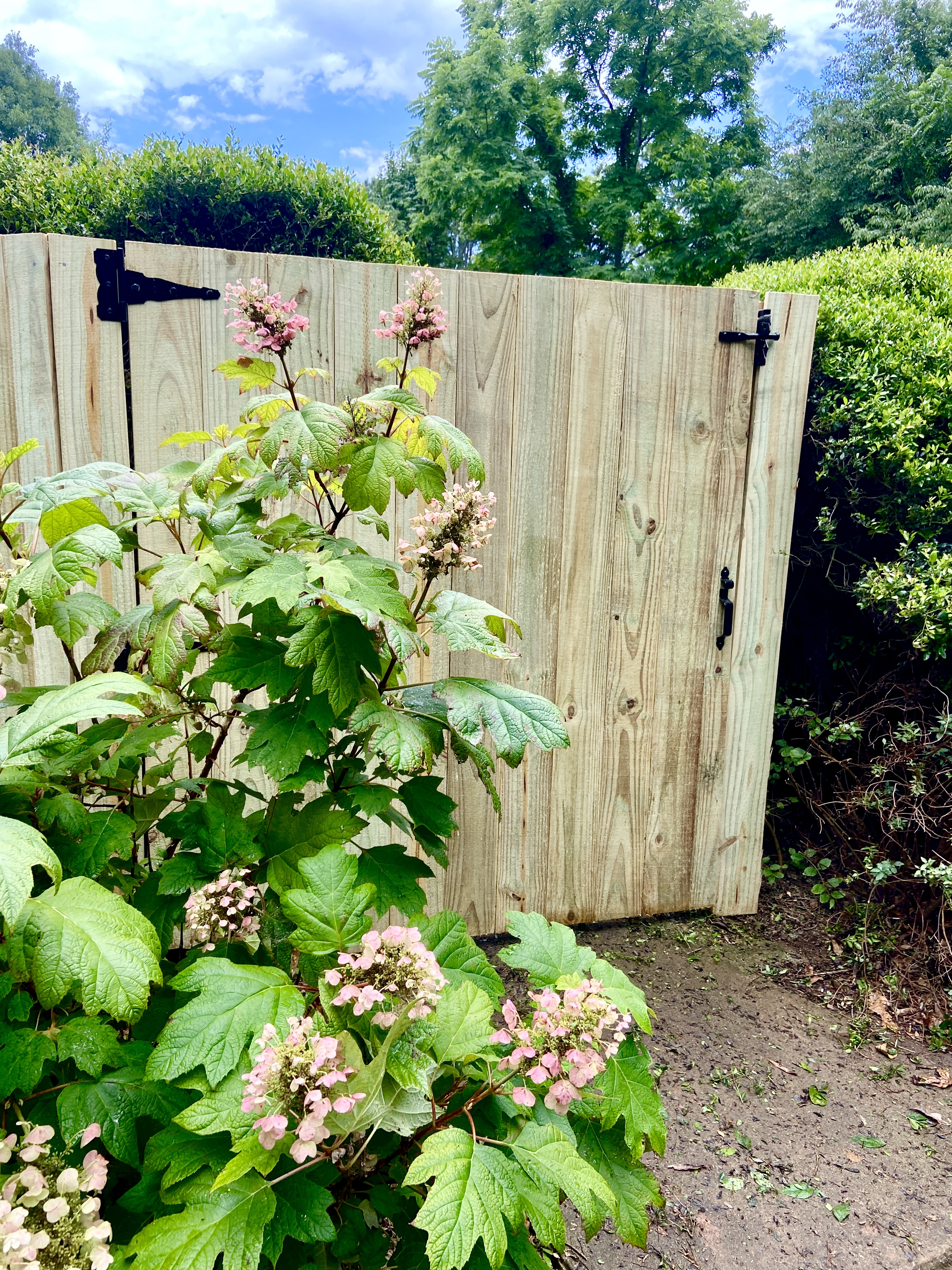 pool fence